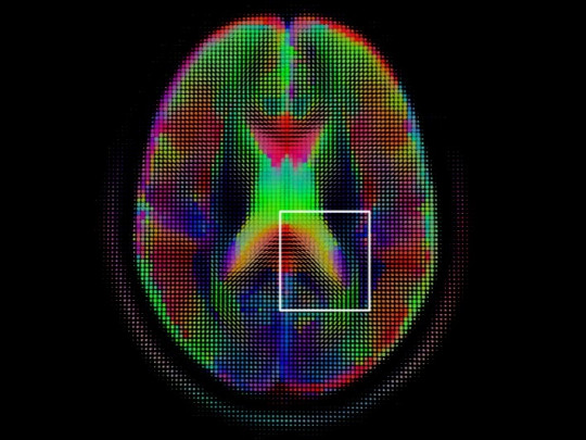 Psicometría cognitiva